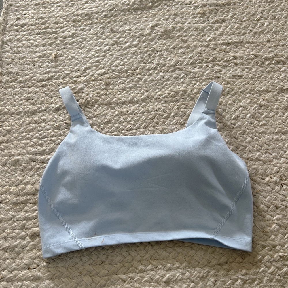 Aerie Sports Bra/ Athletic Top